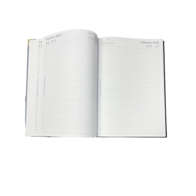 Picture of TLC Diary A4 DTP Silver 2026