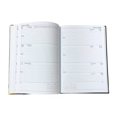 Picture of TLC Diary A5 WTV Silver 2026