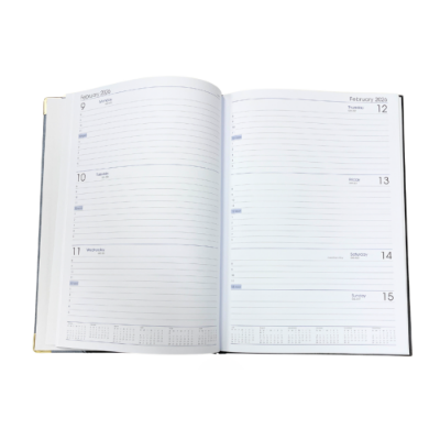 Picture of TLC Diary A4 WTV Silver 2026